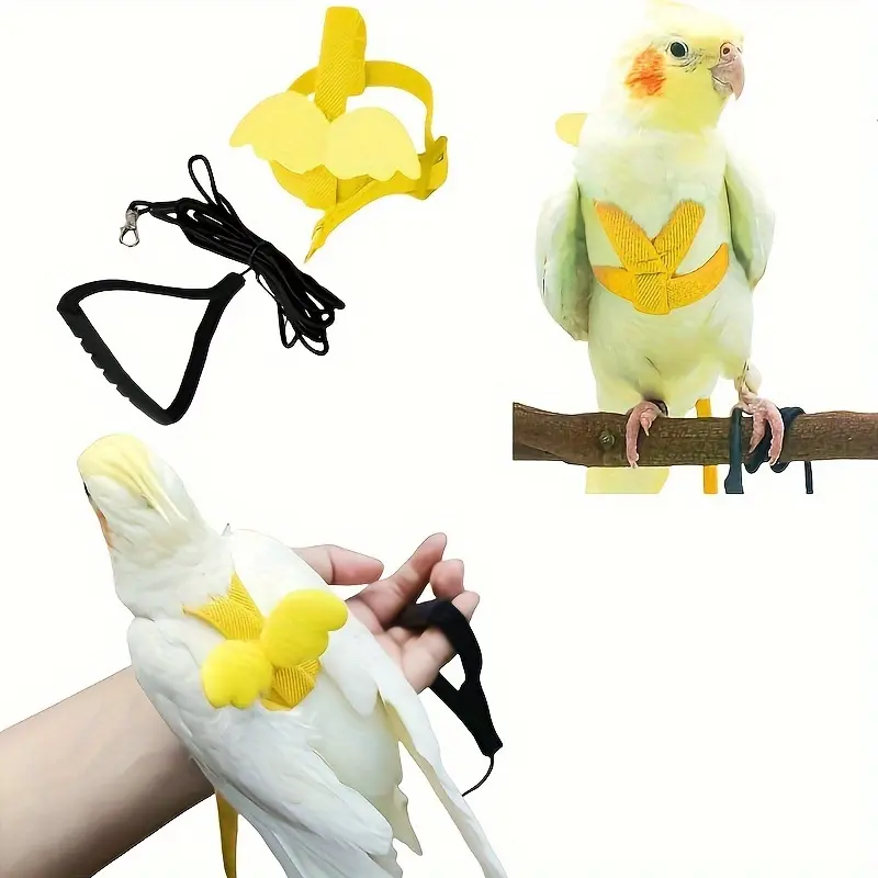 Adjustable Bird Harness & Leash for Parrots – Safe Escape-Proof Design, Soft Comfortable Strap for Small Birds (Conure, Cockatiel, Lovebird)
