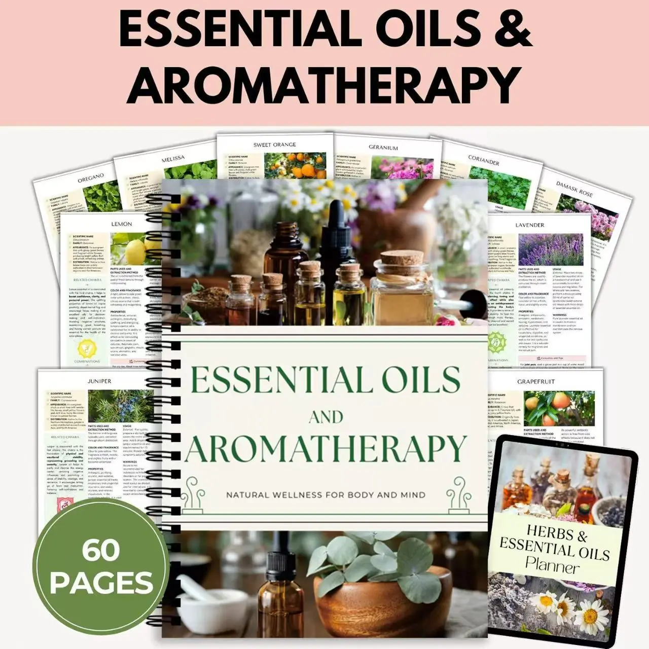 Essential Oil Aromatherapy Guide Book, Illustrated Manual for Essential Oils, Learn Aromatherapy Techniques, Perfect for Beginners and Experts