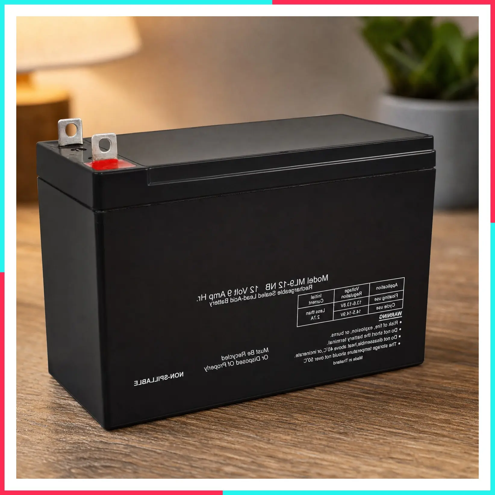 ML9-12NB 12V 9Ah Rechargeable SLA AGM Battery with Nut and Bolt Terminals