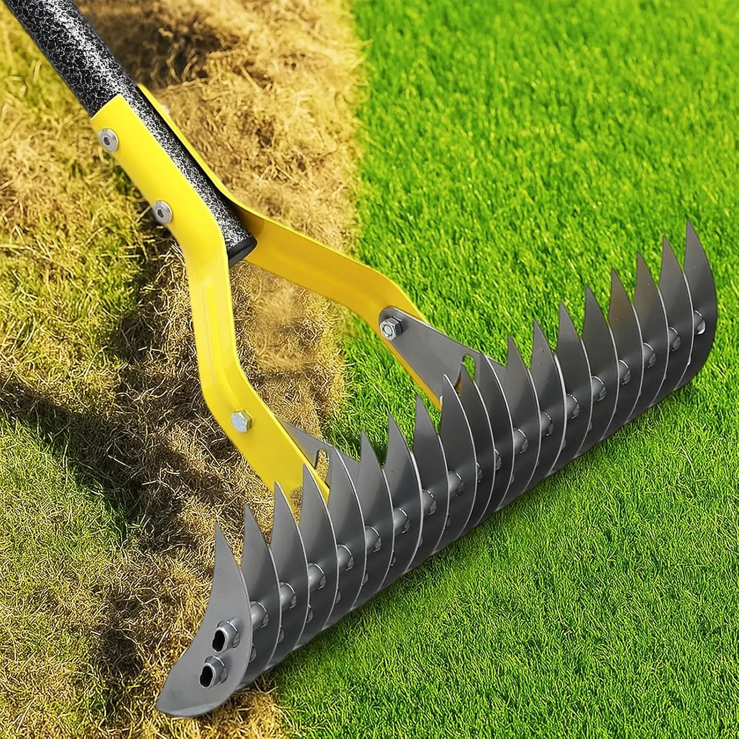 Dual-Action Thatch Rake for Lawn - Efficient 15" Thatching Rake with Sharp Dethatching Blade,Manual Dethatcher & Scarifier Tool for Dead Grass Removal,Soil Loosening,Garden Yard Lawn Care,55" Long