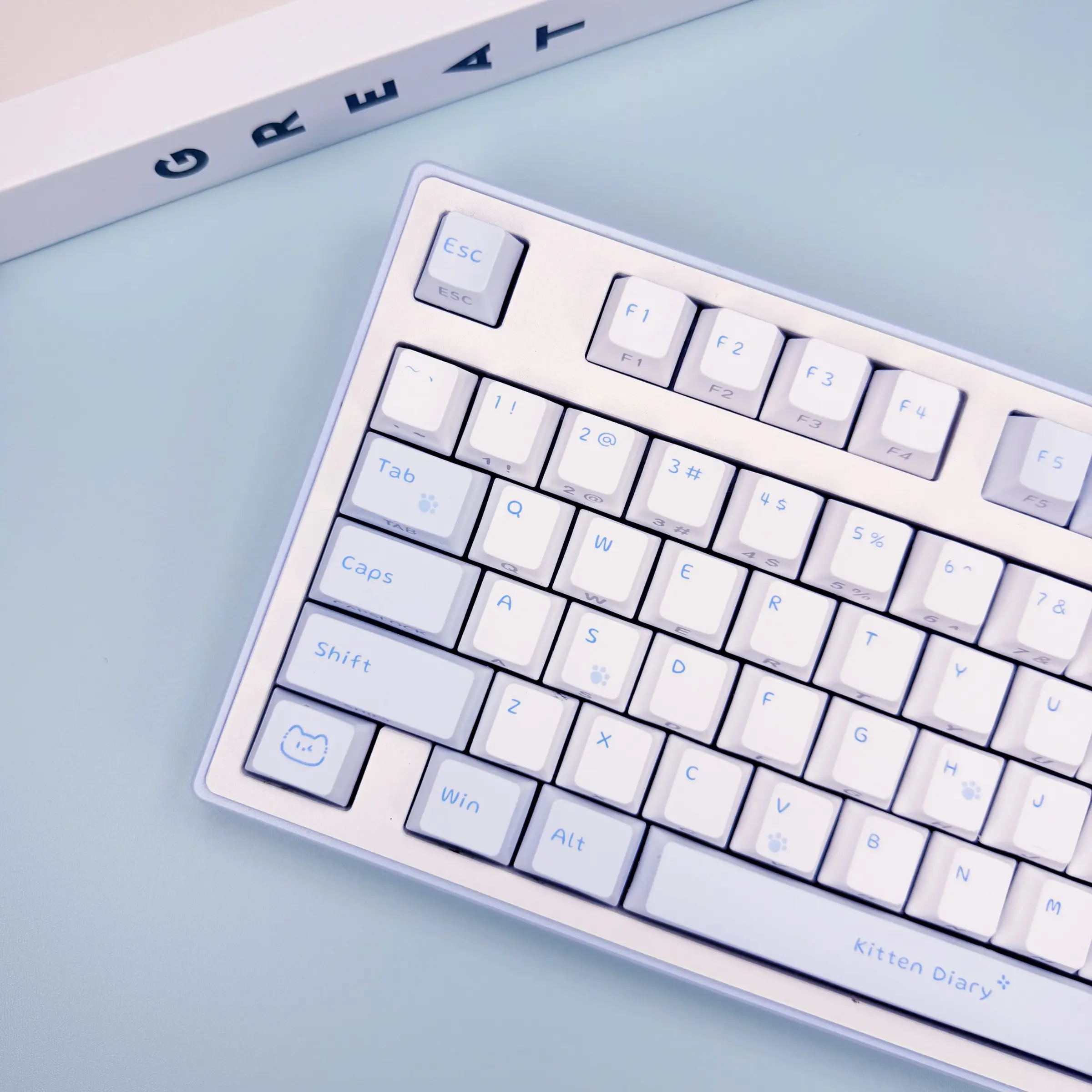 131 Key Cherry/MOA Profile Cat Diary Keycaps, Dual Color Injection Molding, Transparent Side, Suitable for Mechanical Keyboard, English French German Spanish Cute Fresh Keycaps, Keycap Set