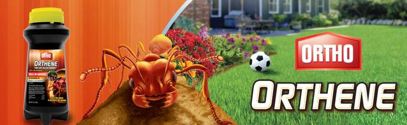 Ortho Orthene Fire Ant Killer1, Kills the Queen and Destroys Mounds, Begins Working in 60 minutes, 12 oz., 2-Pack Plant 01