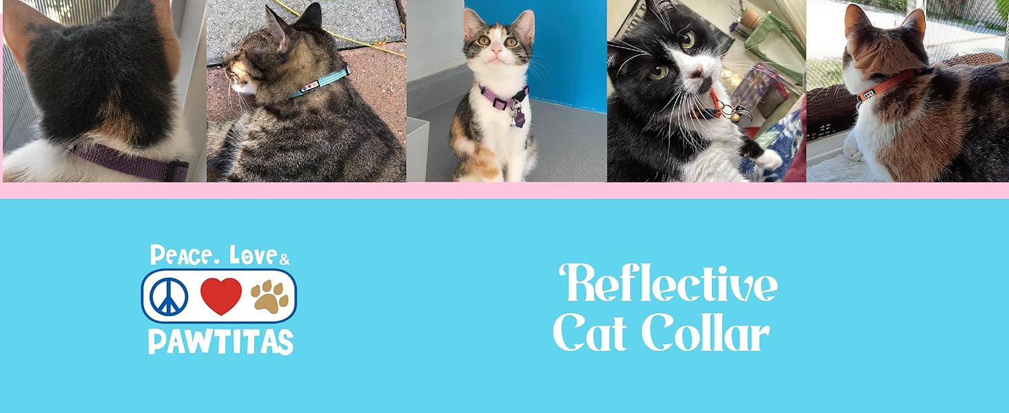 Pawtitas Reflective Cat Collar with Safety Buckle and Removable Bell Cat Collar Kitten Collar Purple Orchid Cat Collar
