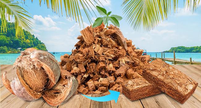 2 Pack Coco Chips Substrate for Plants- 2.2lb 100% Organic Husk Brick with Low EC and pH Balanced, High Expansion Substrate Coco Husk Mulch for Flowers, Herbs, Planting