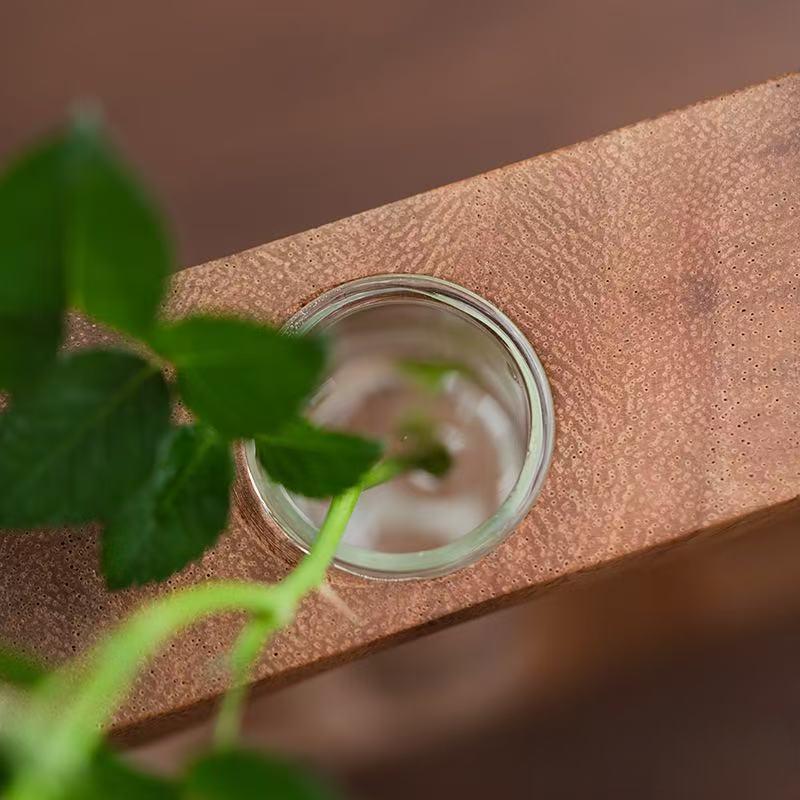 Natural Solid Walnut Wood Hydroponic Plant Stand, Mini Glass Tube Tabletop Planter, Modern Minimalist Home Office Decor