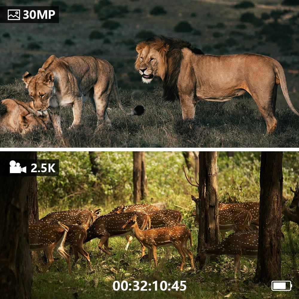 Night Vision Goggles-Night VisionBinoculars,2000 mAh Battery,7 Levels Infrared,6XDigital Zoom,Wildlife Observation,Hunting,Camping