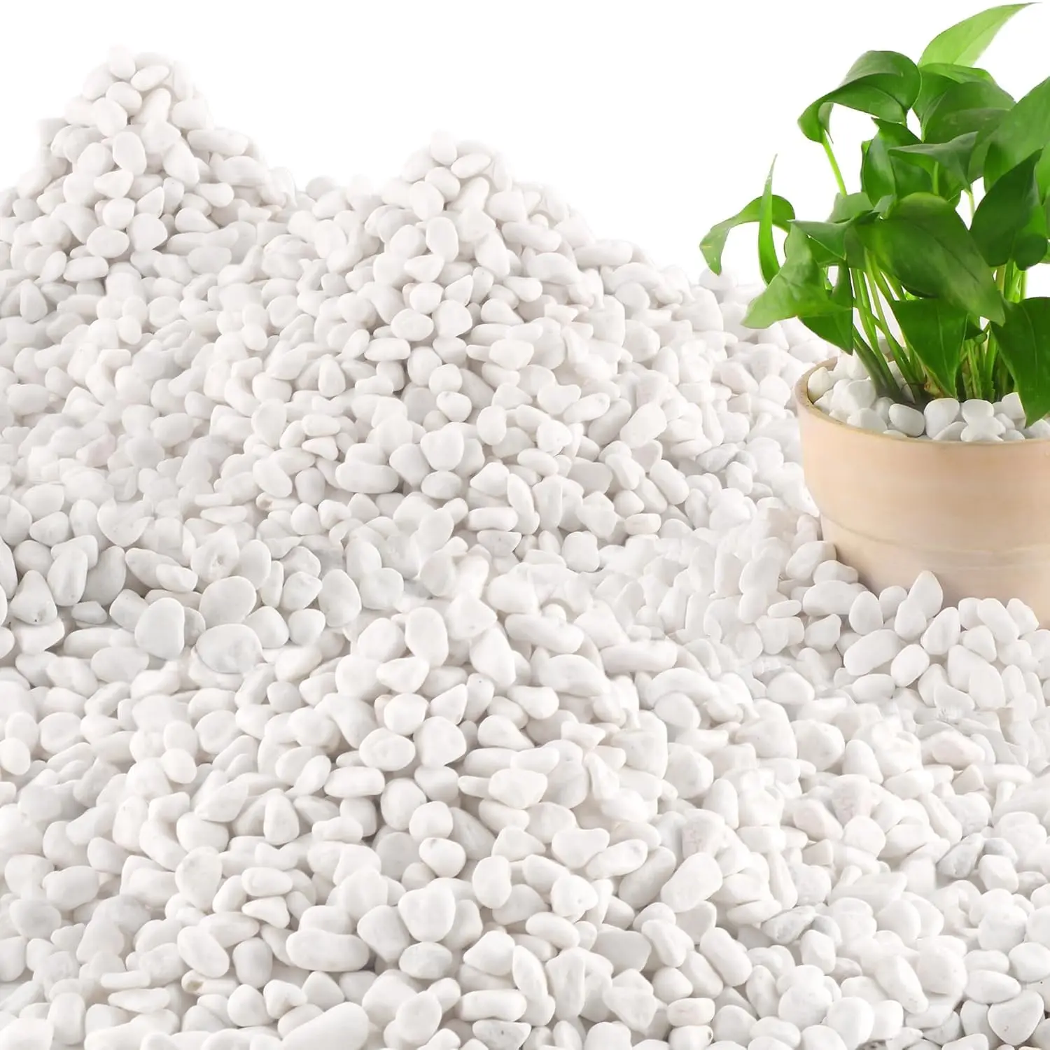 45LB Natural White Garden River Rocks (1/4"-3/4") - Pebble Texture Garden Accessories, Decorative Pebbles for Indoor Plants, Outdoor Landscaping, Aquarium Gravel, Fish Tank Terrarium Decoration