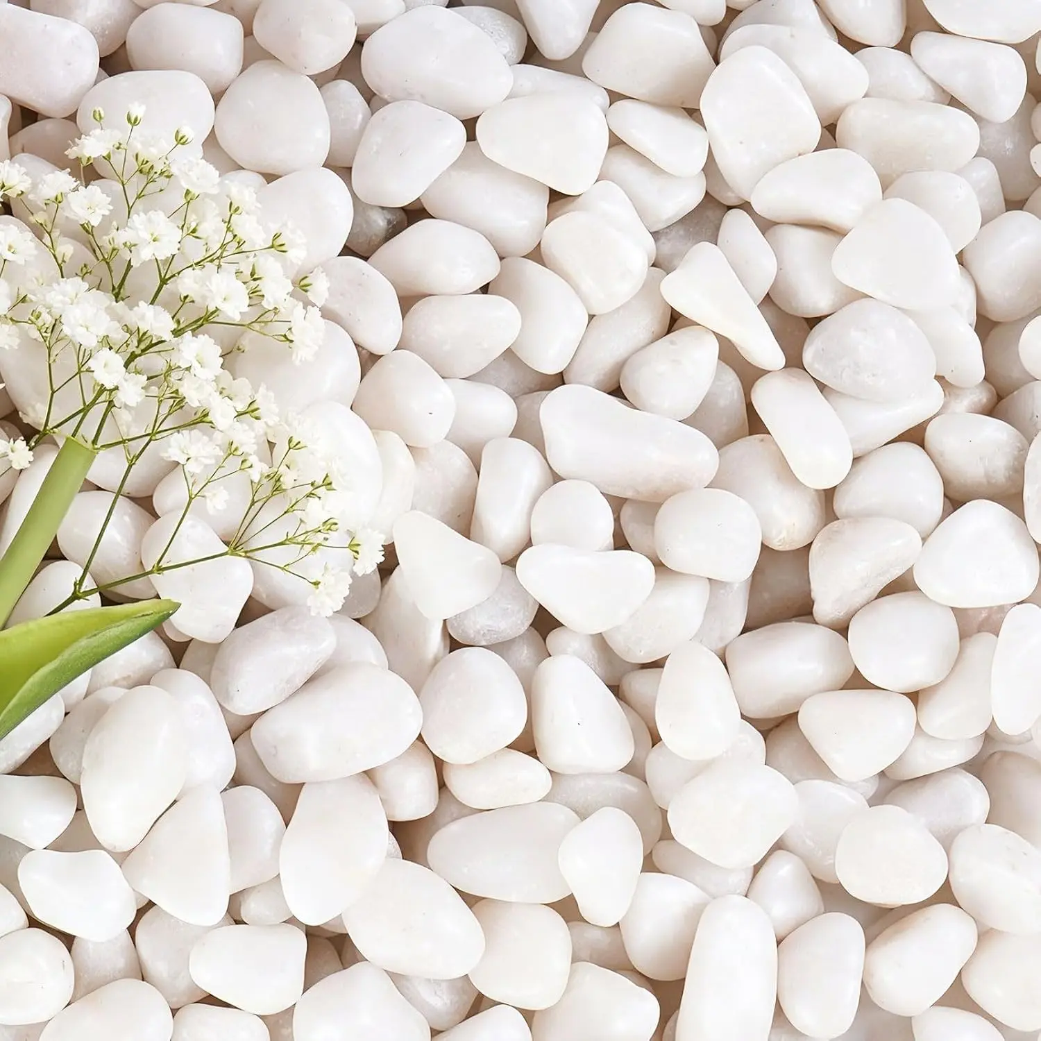 5 lbs 1/2-in White Rounded Pebbles, Decorative Gravel for Potted Plants, Vases, Fish Tanks