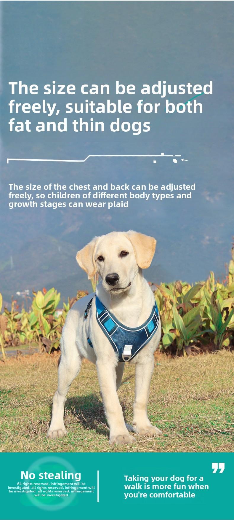 Ditch the Slip-Ups with Flimsy Harnesses! All-in-One Heavy-Duty Dog Harness |   Tear & Pull-Resistant, Ultra-Secure for Big Dogs