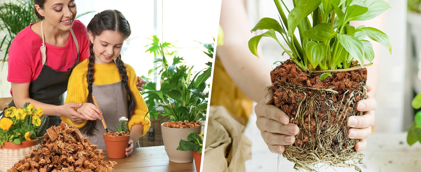 2 Pack Coco Chips Substrate for Plants- 2.2lb 100% Organic Husk Brick with Low EC and pH Balanced, High Expansion Substrate Coco Husk Mulch for Flowers, Herbs, Planting