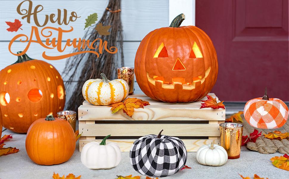 Halloween Ueerdand 16 PCS Fall Decor Assorted Sizes Artificial Pumpkins Burlap Faux Foam Pumpkin for Harvest Autumn Season Halloween Thanksgiving Holiday Festive Embellishing and Displaying Halloween Ueerdand 16 PCS Fall Decor Assorted Sizes Artificial Pumpkins Burlap Faux Foam Pumpkin for Harvest Autumn Season Halloween Thanksgiving Holiday Festive Embellishing and Displaying