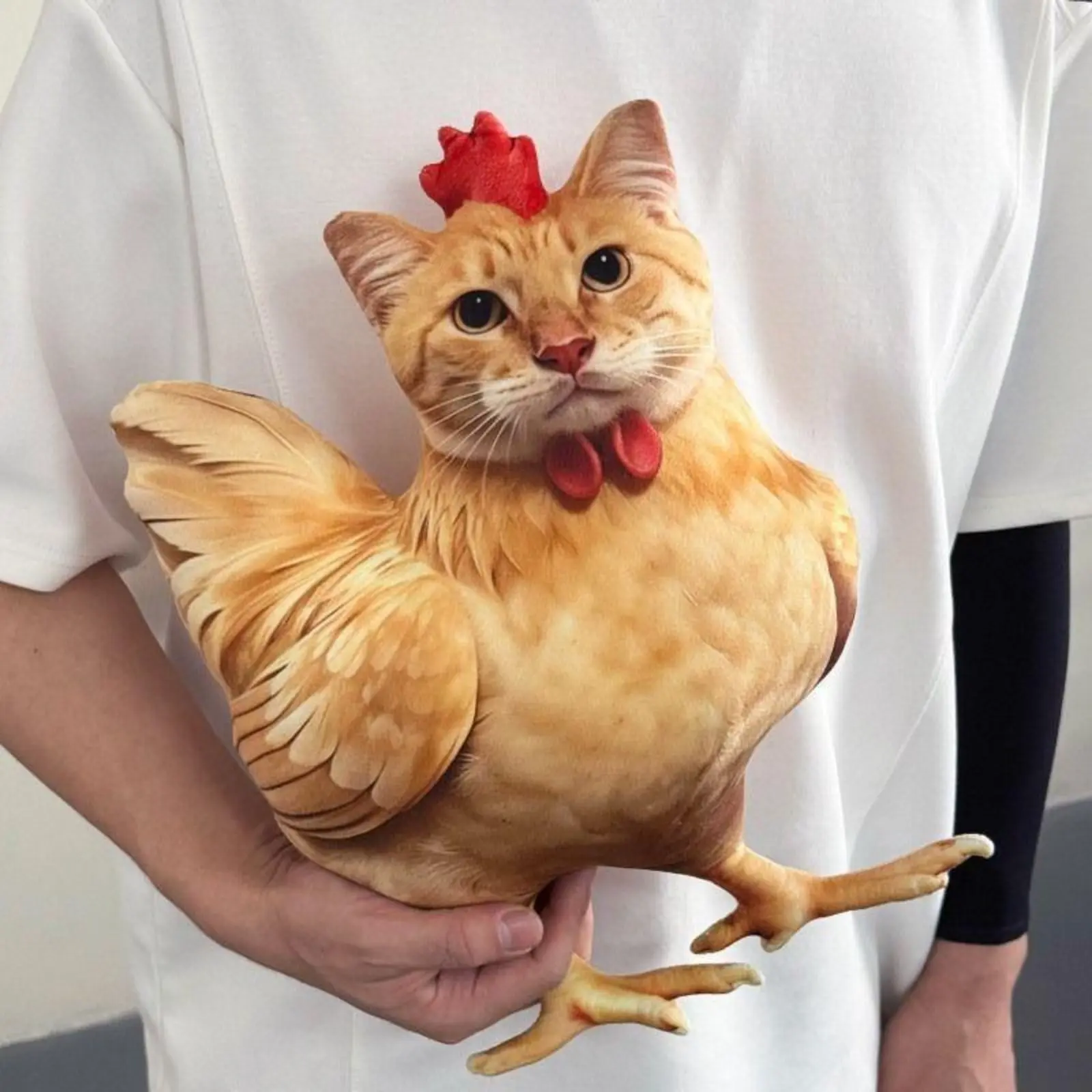 Funny Chicken Cat Plush Throw Pillow - Cute Quirky Stuffed Cushion for Sports & Outdoor Camping Hammock Use, Soft Home Decor Accent, Boyfriend Gifts Cute Birthday Holiday Present