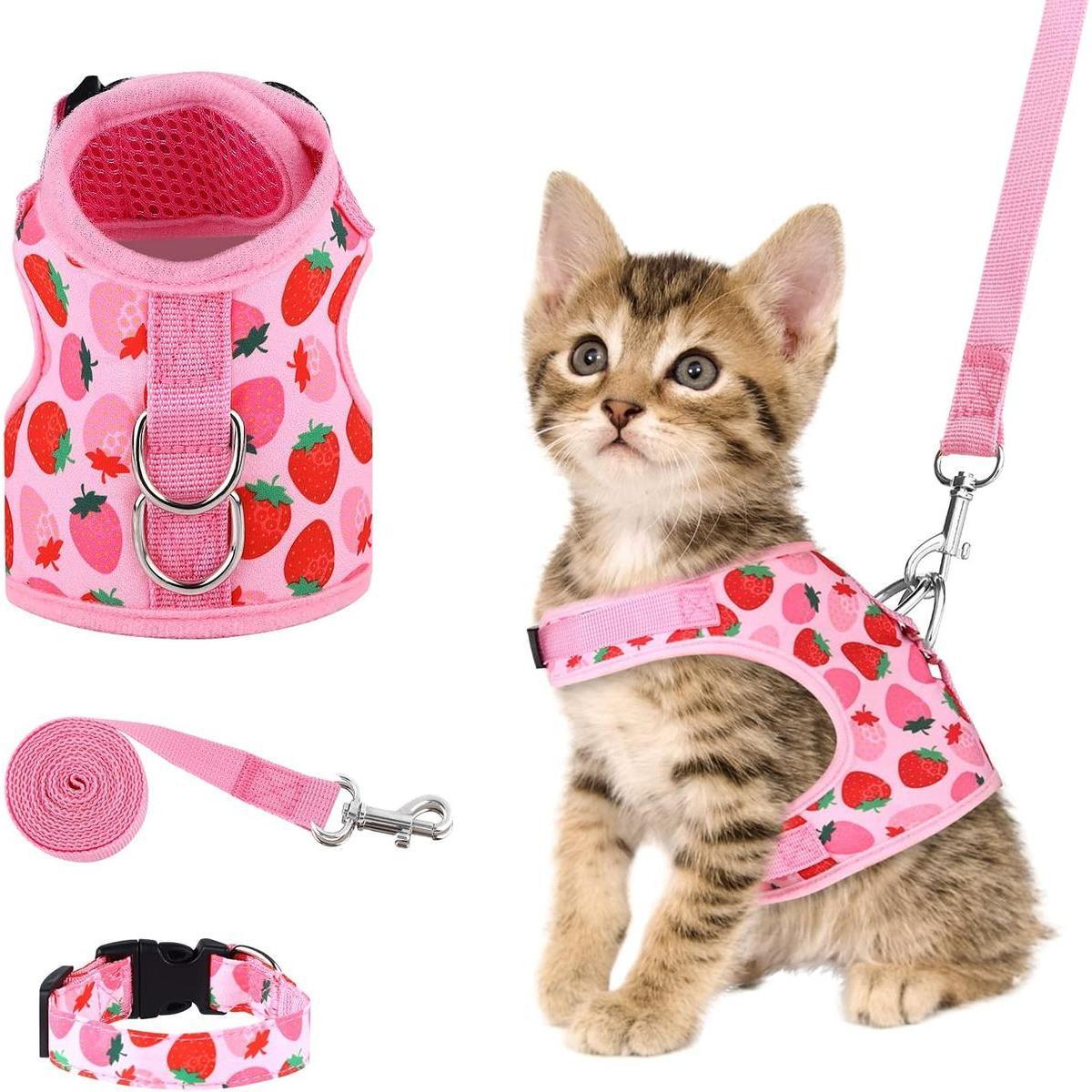 Cat Harness & Leash Set with Quick Release, Breathable Mesh – Pet Vest Harness for Small Pets (Kitties, Puppies) for Outdoor Walks, X-Small DIY Metal Playpen with Skylight