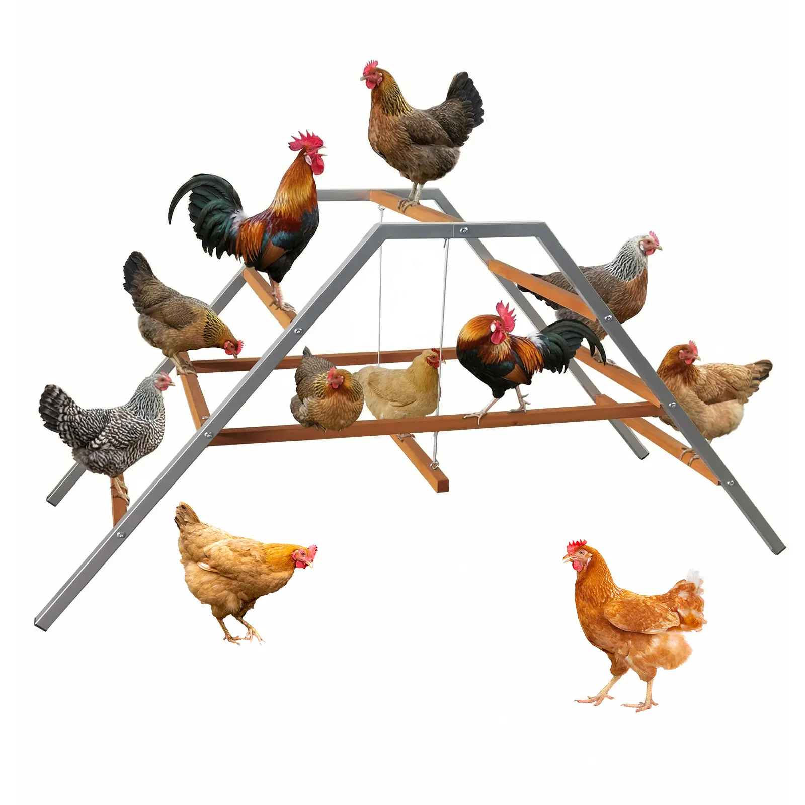62" Chicken Perch with Swing Set, 4-Tier Solid Wood Roosting Bars for 10-12 Chickens, Rustproof Metal Frame for Backyard Coop & Farm