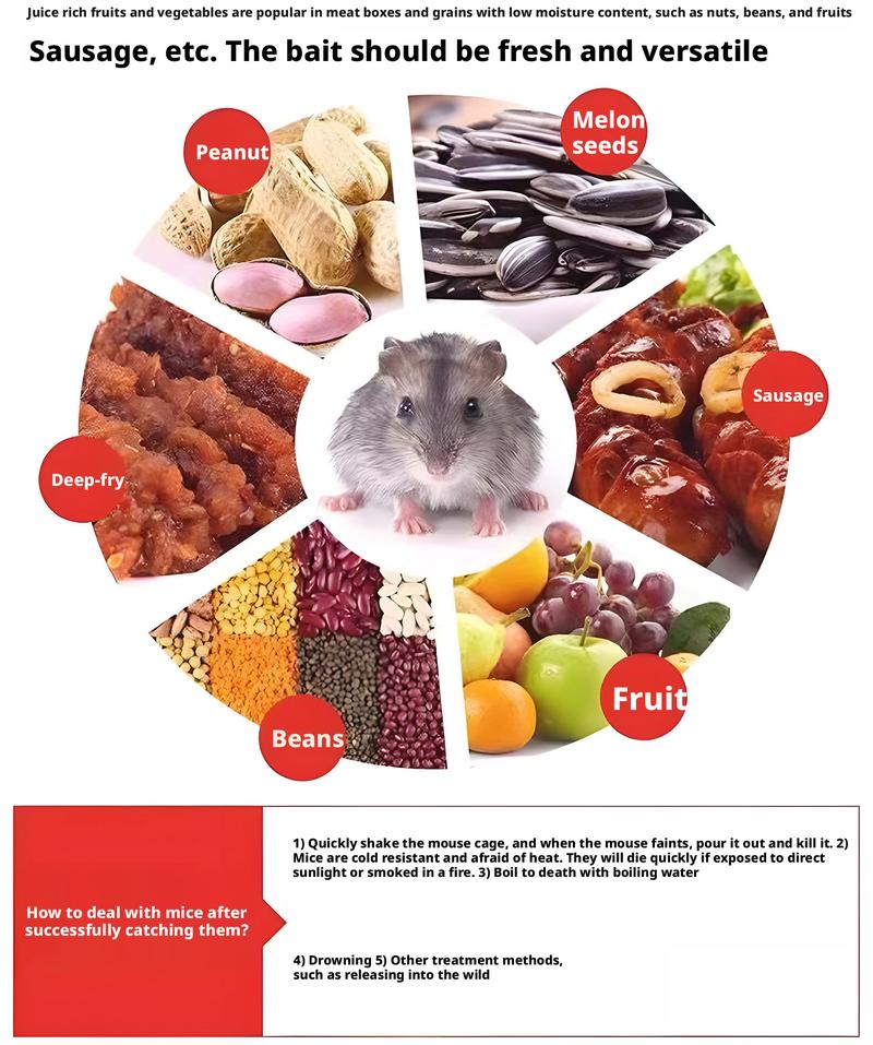 Indoor and Outdoor Automatic Reset Flip Cover Mouse Trap, Rat Trap, High-Efficiency, Multi-Functional, Portable