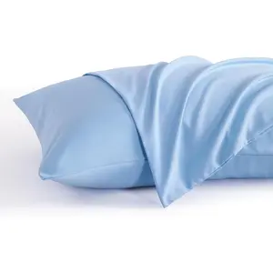 Standard Pillow Cases Set of 2, 2 Pack Brushed Microfiber 20x26 Pillow Cases, Soft, Wrinkle, Fade, Stain Resistant Sky Blue Pillow Cases with Envelope Closure, 20x26 Inches, Sky Blue