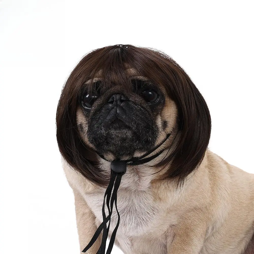 Pet Wig Headband - Funny Look Short Synthetic Hair Pet Costume, Adjustable 1 Size Comfortable Easy-to-Clean Accessory, Valentine's Day Photo Props/Parties for Small Dogs & Cats, Short Hair, Cute