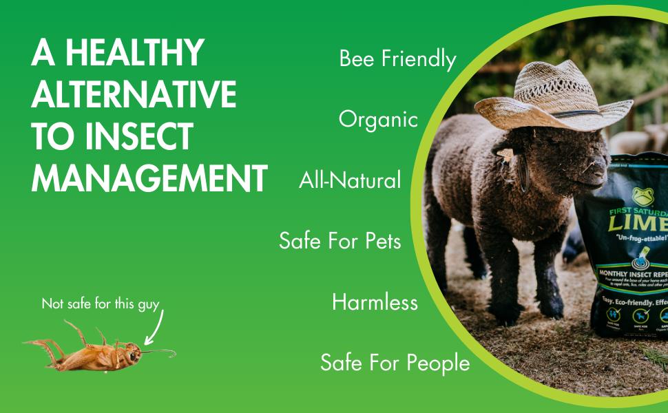 First Saturday Lime 5lb Bag