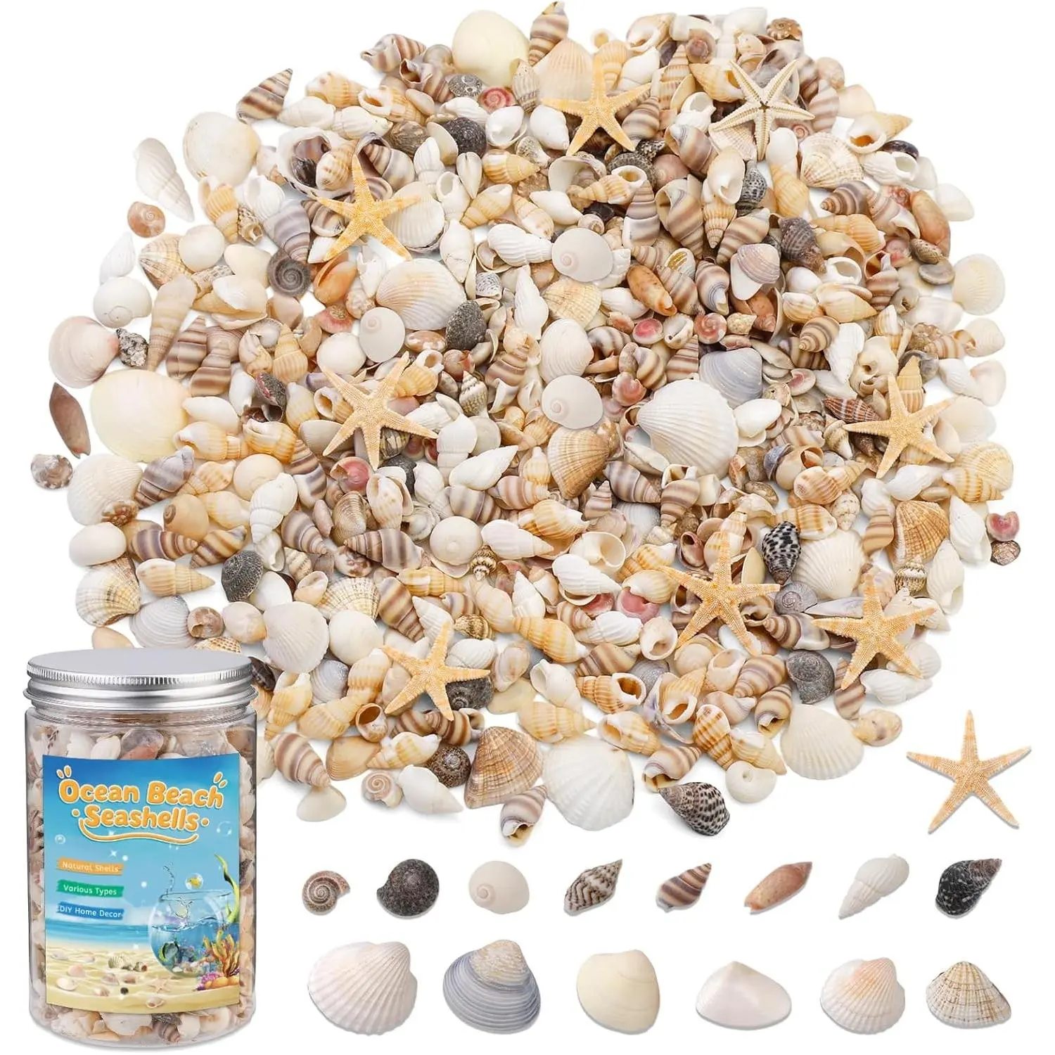 1200 Pcs Tiny Sea Shells, Seashells for Crafts with Small Shells Starfish Mixed Ocean Beach Spiral Seashells for Beach Party, Fish Tank and Vase Filler, Wedding Decor, Diy Jewelry Candle Making