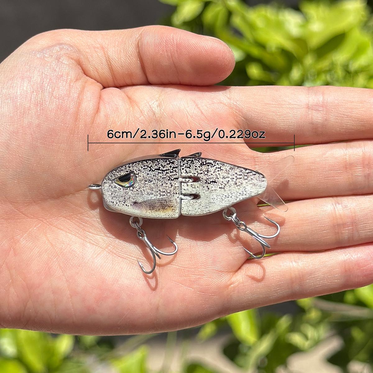3D Printed Realistic Fish Lure with Dual Hooks, Slow Sinking Bait for Bass  Trout Catfish, Bfs System Fishing Gear, Fishing Accessories, Artificial  Fishing Lure, Fishing Tackle - TikTok Shop