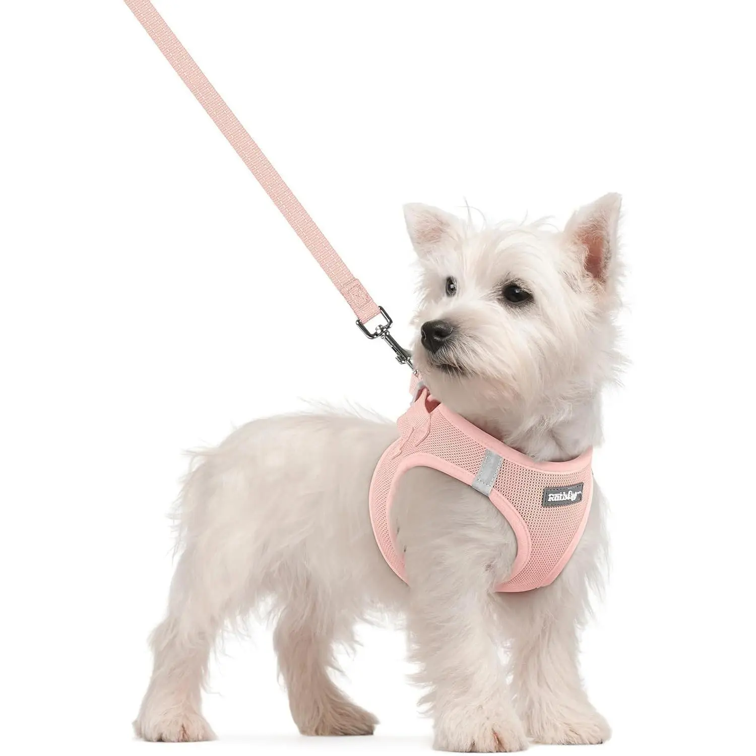 rabbitgoo Dog Harness Small Sized and Leash Set, Step in Soft Light Puppy Vest, Breathable Mesh Pet Harness, Reflective  Safe Outdoor Walking, Pink S