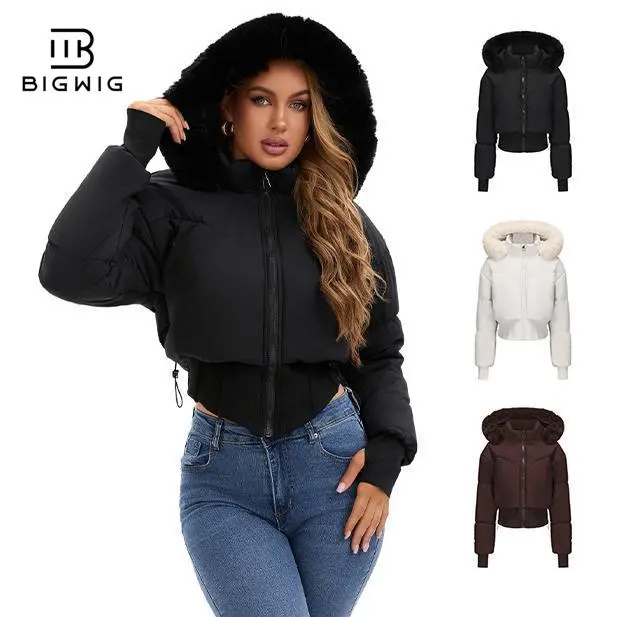 BIGWIG Women's Fitted Long-Sleeve Short Down Jacket Outerwear - 2025 Fashion, Hooded, Stand-Up Collar, Quilted Filling, Zip-Up Closure, Casual Basic Fall Jacket for Sports & Outdoor Autumn Winter Outings