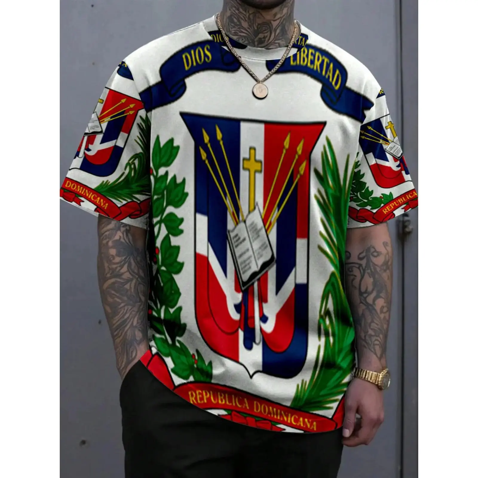 Men's Dominican Flag & Coat of Arms Cultural Thermal Transfer Geometric Print T-Shirt, Perfect Gift for Alternative Fashion Lovers, Streetwear, Menswear, Top
