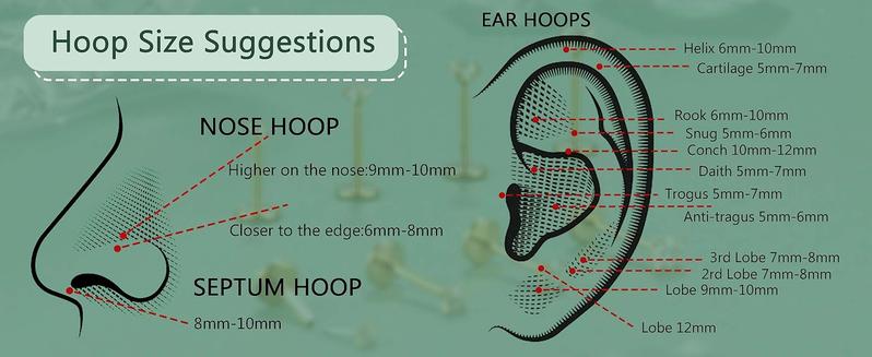 Jstyle 5Pcs 316L Surgical Steel Septum Rings Nose Rings Hoop 16G 18G 20G Hinged Clicker Hoop Nose Rings for Women Cartilage Hoop Earring Lip Helix Rook Tragus Conch Septum Nose Piercing Jewelry