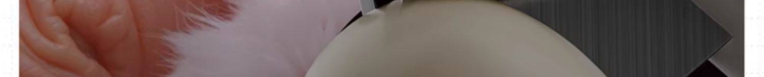 SoPets Pet Nail Clippers with LED Light - Safe Blood Line Finder for Dogs Cats Beginners