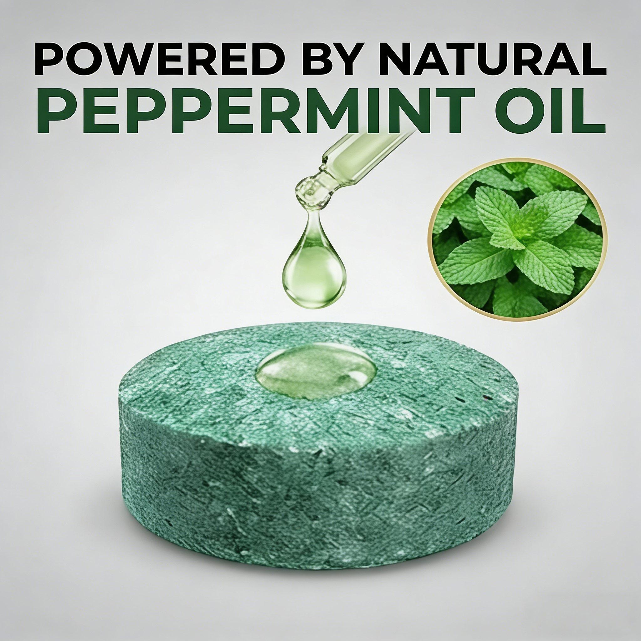 12 Pack Natural Rodent Repellent Balls with Peppermint & Lemon Oil, Long Lasting Scent Deterrent for Squirrels & Rats, Easy to Use for Indoor & Outdoor