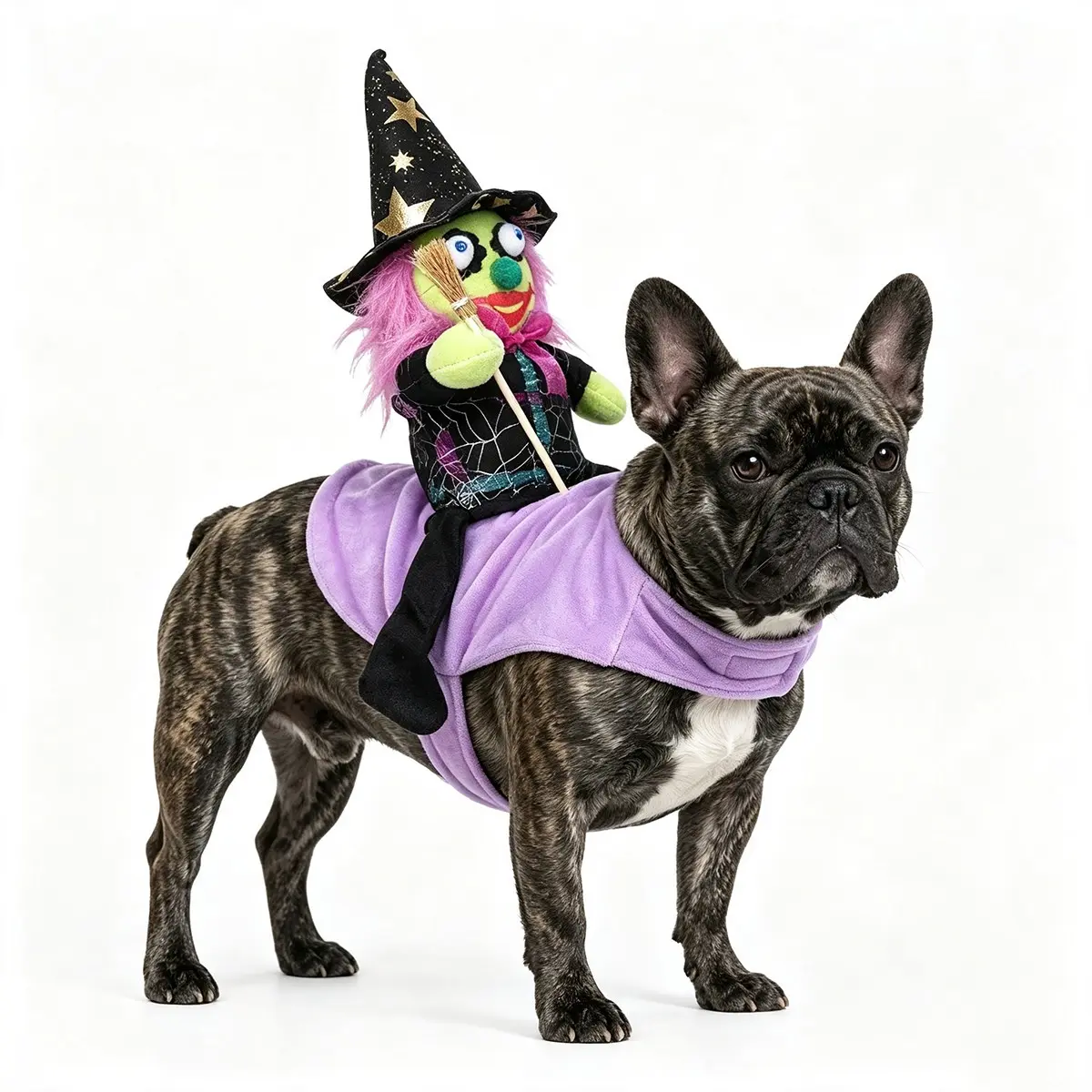 Dog Halloween Costumes, Funny Pumpkin Wizard Costume Pet Clothes Apparel for Halloween Christmas Cosplay Party Dress Up for Small Medium and Large Dogs