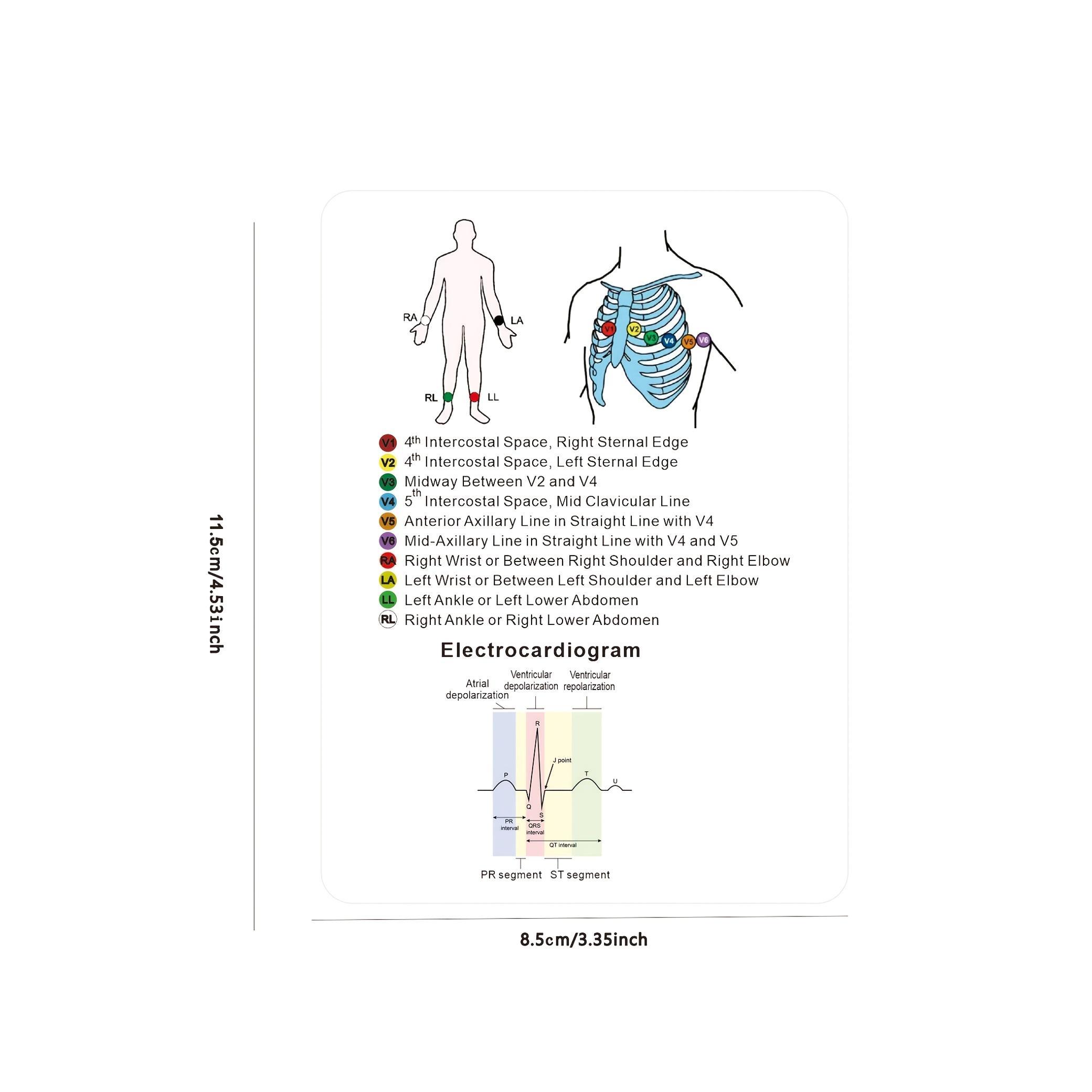 EKG & ECG Rhythms Cheat Sheet Card, 12 Sheets/set Pocket Card with Hanging Hole, Medical Pocket Card for Healthcare, Nursing, Medical Students