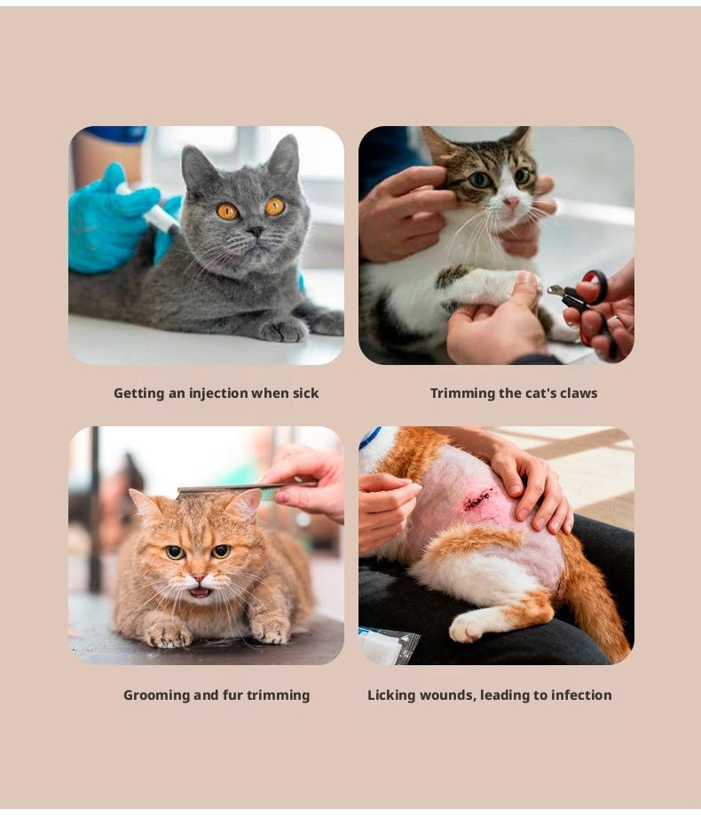 PetBoba Anti-scratch and bite cat head cover, protective paw covers, anti-licking and anti-biting, anti-fighting, bathing and nail trimming, anti-biting transparent head cover