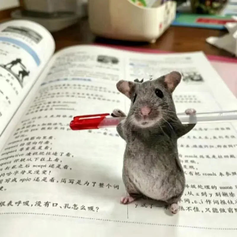 Realistic Rat Plush Keychain Movable Limbs 3D Double Sided Mouse Stuffed Toy Pendant Funny Prank Trick Decor Hanging Gift