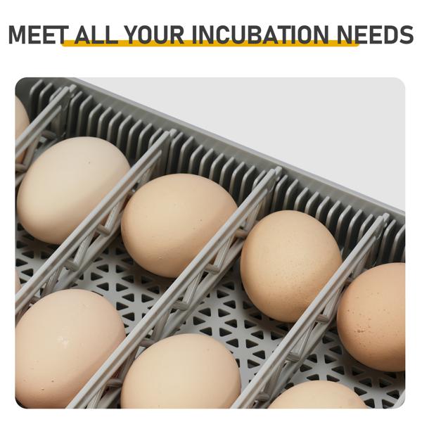 48H Pro 48-Egg Incubator 110V 85W Fully Automatic Egg Turner LED Candler Auto Temp Humidity Control Fahrenheit Display ABS PET Body Clear Lid Storage Compartment for Home Use Home