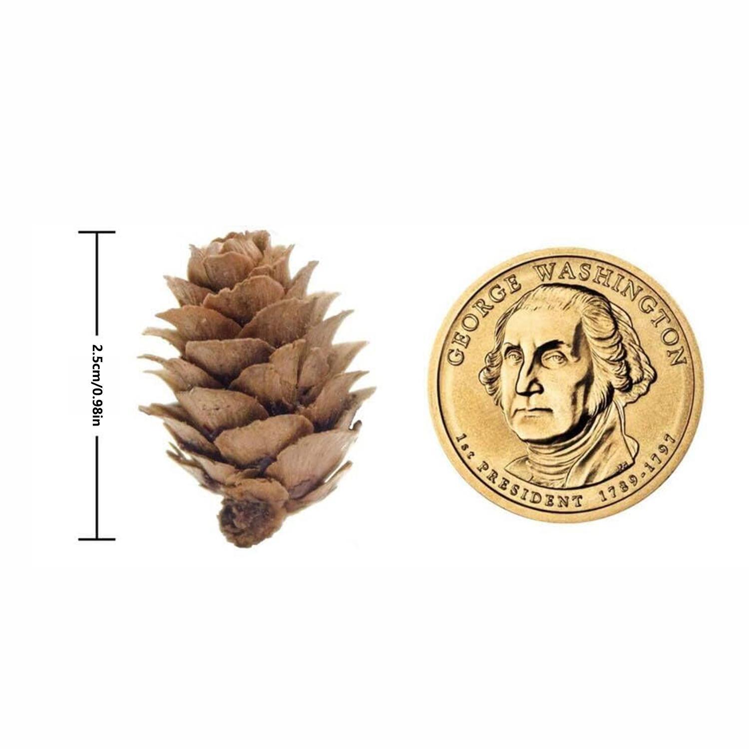 30/60Pcs Artificial Pinecone Home Room Wedding Christmas Halloween Outdoor Yard Garden Decor DIY Bride Wreath Hanging Accessory