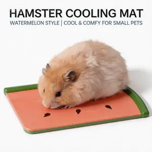Hamster Ice Mat, Watermelon Hamster Ice Mat, Summer Cooling Board God, Cooling Mat, Cooling Mat, Ice House, Golden Bear, Summer