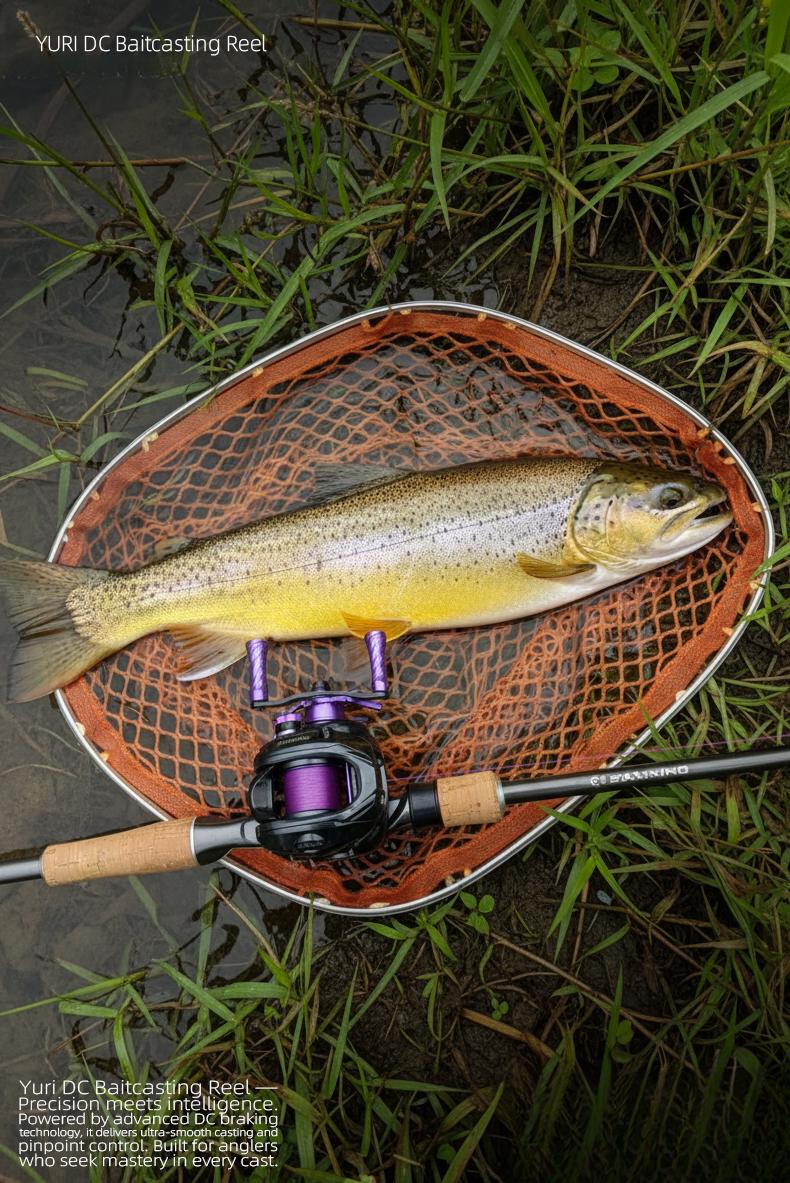 Xiongwang Yuri DC Baitcasting Reel, Intelligent Electronic Brake Fishing Reel, Lightweight Carbon Long Casting Reel for Bass Fishing