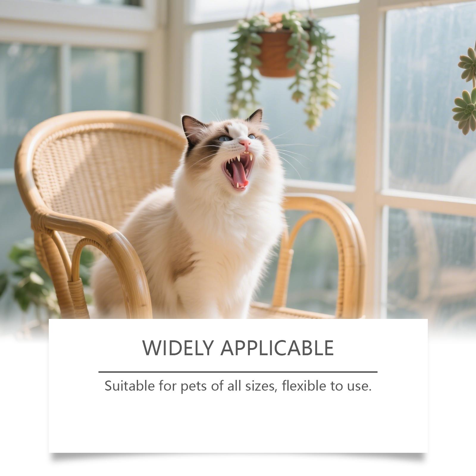 EelJoy Dental Finger Wipes for Pets - Gentle Ingredients for Oral Health - Remove Stains Whiten Teeth Reduce Tartar Plaque - 60 Pieces - Sodium Bicarbonate & Sorbitol Formula