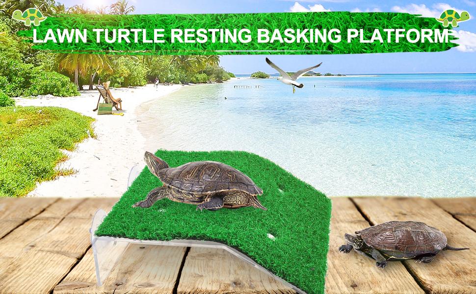 Small Turtle Basking Platform Simulation Grass Turtle Ramp, Turtle Resting Basking Dock Floating Décor for Aquatic Turttle Reptile Frog Terrapin LITTLE CRITTERS VET