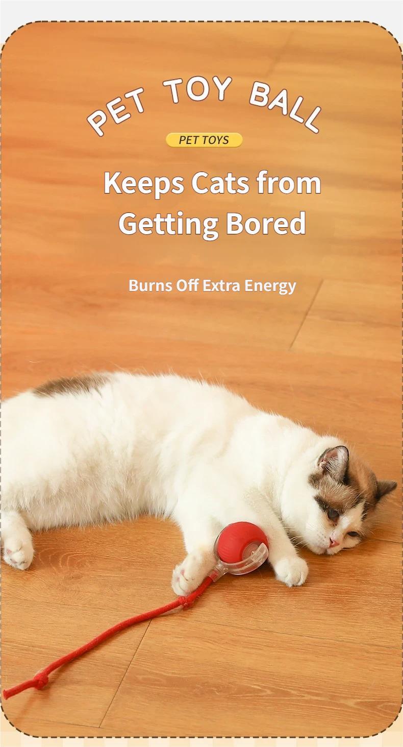 Interactive Cat Toy Ball, Automatic Rolling Pet Toy with Tail, Smart Obstacle Avoidance Cat Toy, Rechargeable Kitten & Small Dog Toy, Keeps Cats Busy, Indoor Self Play, Bite Resistant Silicone, Quiet and Easy to Clean