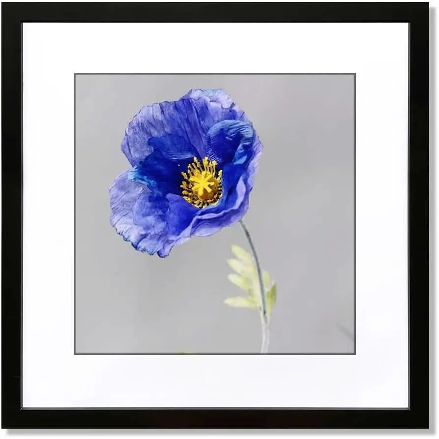 VNVNK 15x15 Frame with 11x11 Mat Black Picture Frame Home Decor-1PCS | 15x15 Frame Black, Perfect for 15x15 Inch Picture without Mat or 11x11 Inch Picture with Mat