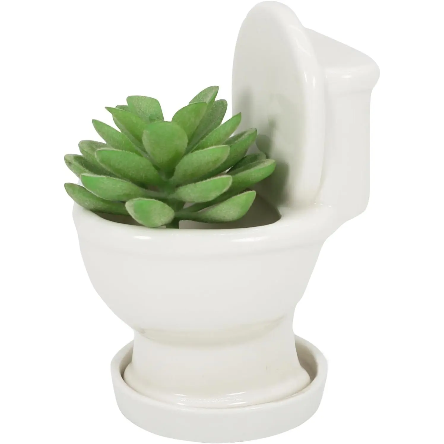 Cute Ceramic Toilet Bowl Succulent Planter Pot with Drainage Tray | Funny Shape, with Drainage Hole and , Small Mini Size, Air  Holder, Cactus Flower Container