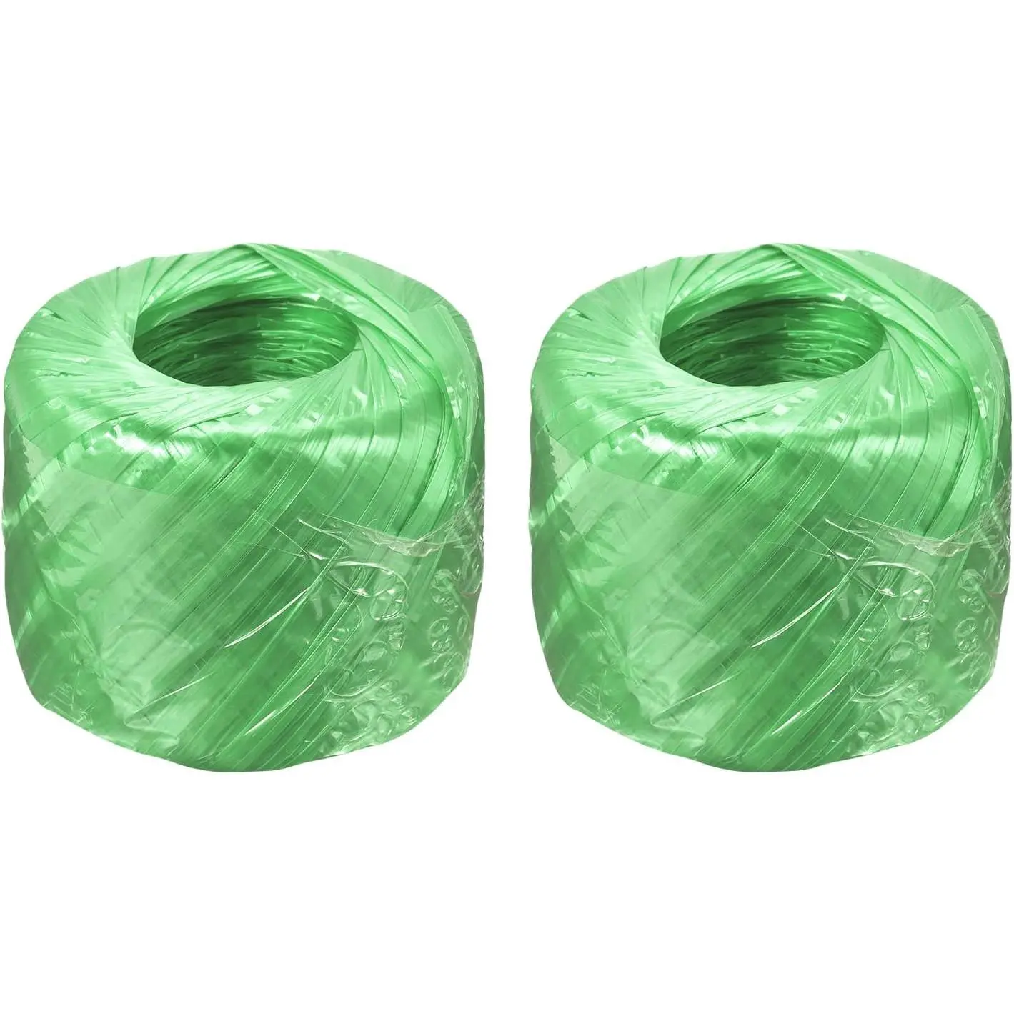 Polyester Nylon Plastic Rope Twine Household Bundled for Packing Gardening Craft,300m Total Length,Green Pack of 2