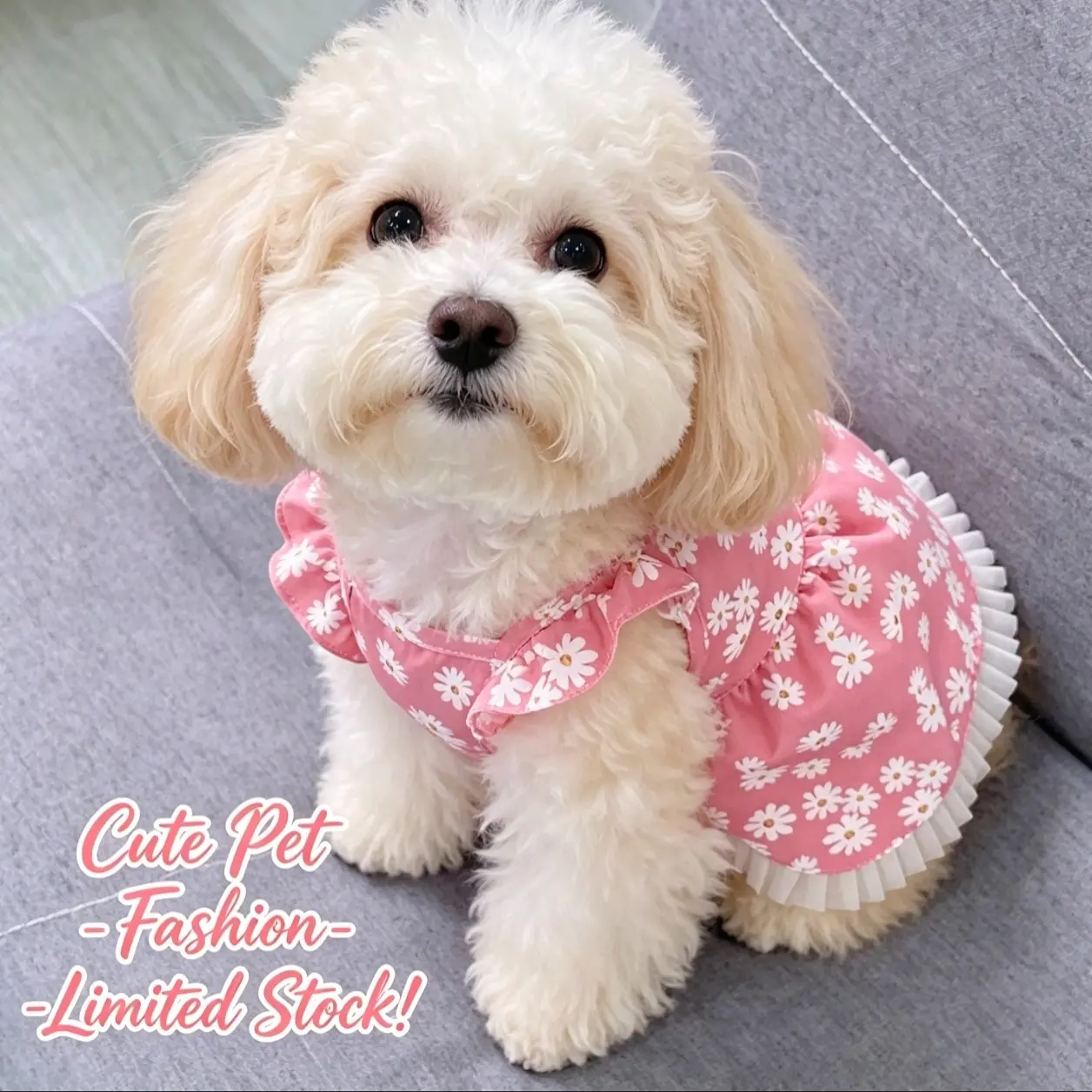 Daisy Pattern Pet Clothes, Cute Pet Dress for Dogs and Cats, Breathable Summer Party Wear, Comfortable Fashion Pet Apparel