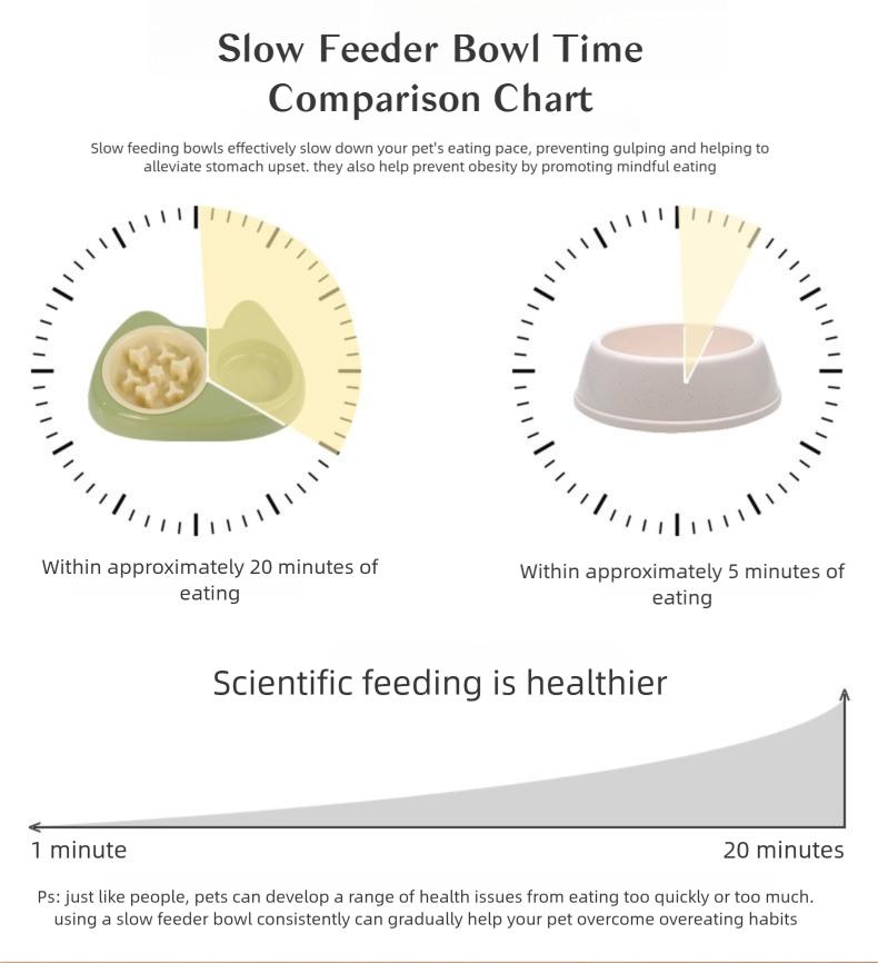 Stainless Steel Slow Feeder Bowl for Small Dogs – 2-in-1 Double Bowl, Anti-Choke Design, Non-Slip Base