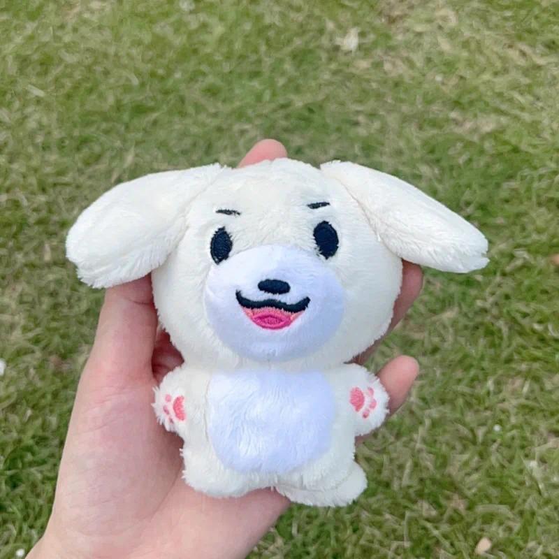 Kpop Plush JUNGWON HEESEUNG JAY JAKE SUNGHOON Stuffed Toys Keyring Kawaii Cartoon Pendant Accessories Bag Fans Gift