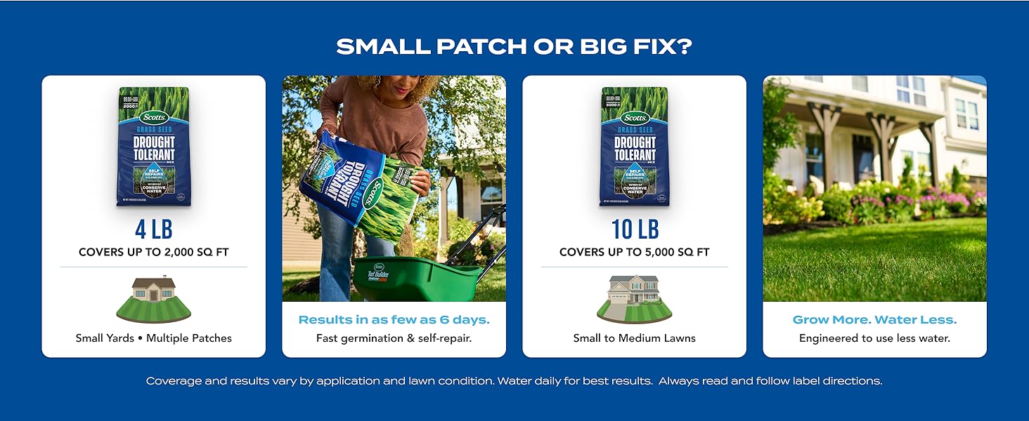 Grass Seed Drought Tolerant Mix, Kentucky Bluegrass and Tall Fescue Grass Seed Mix, Covers up to 5,000 sq.ft., 10 lb.