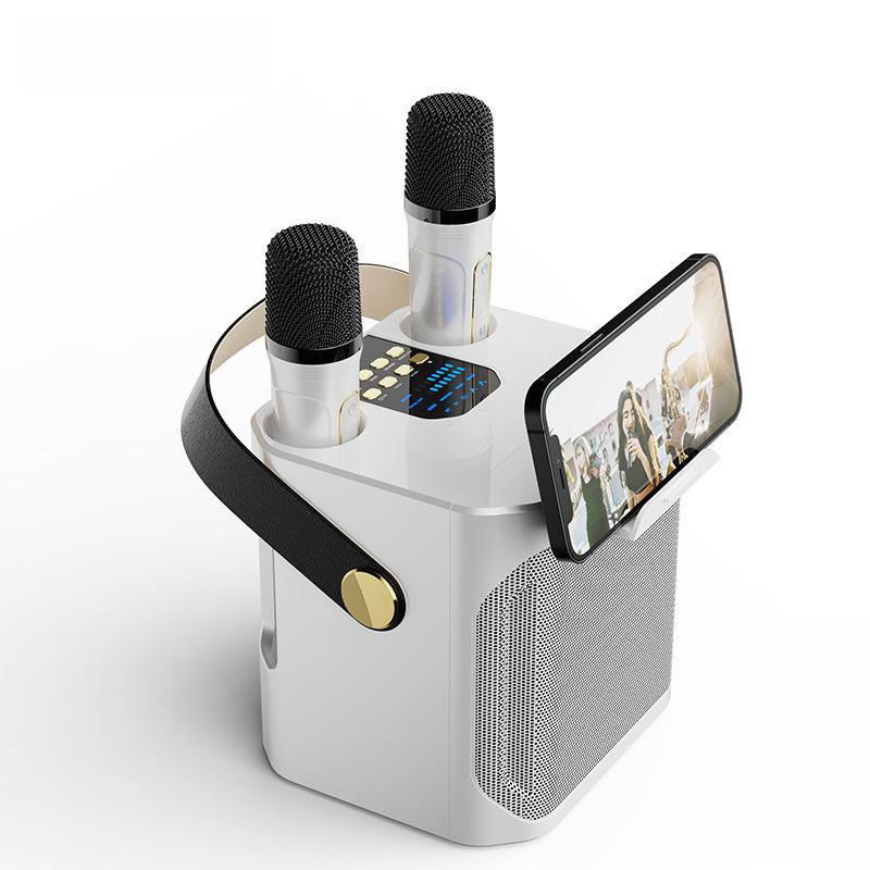 Portable Bluetooth Speaker for Home Karaoke & Outdoor Use Mini Home Theater with Deep Bass HiFi Sound