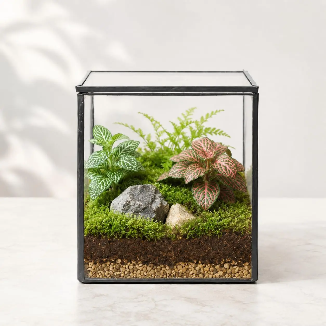 Small Square Glass Terrarium with Lid, 4.3 Inch Clear Glass Planter Box for Moss,  & Air , Mini Fairy Garden Display Case, Black Metal Frame, Indoor Tabletop  Decor